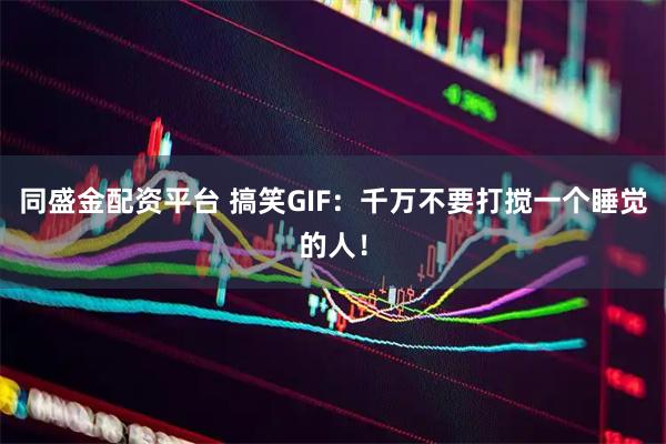 同盛金配资平台 搞笑GIF：千万不要打搅一个睡觉的人！